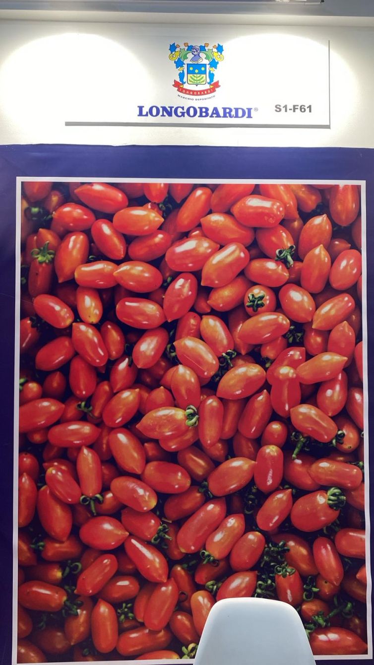 Gulfood-2025-7
