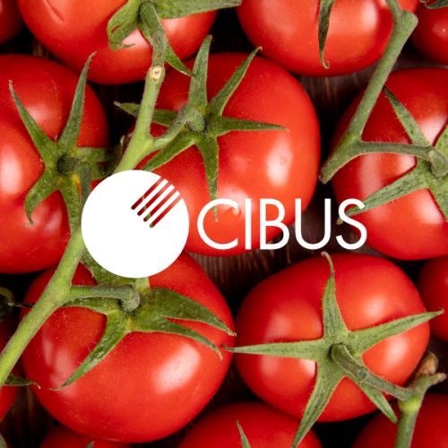 cibus 2-80